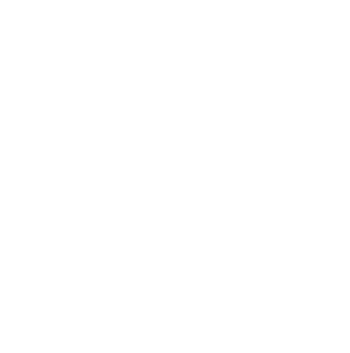 ASHI Logo