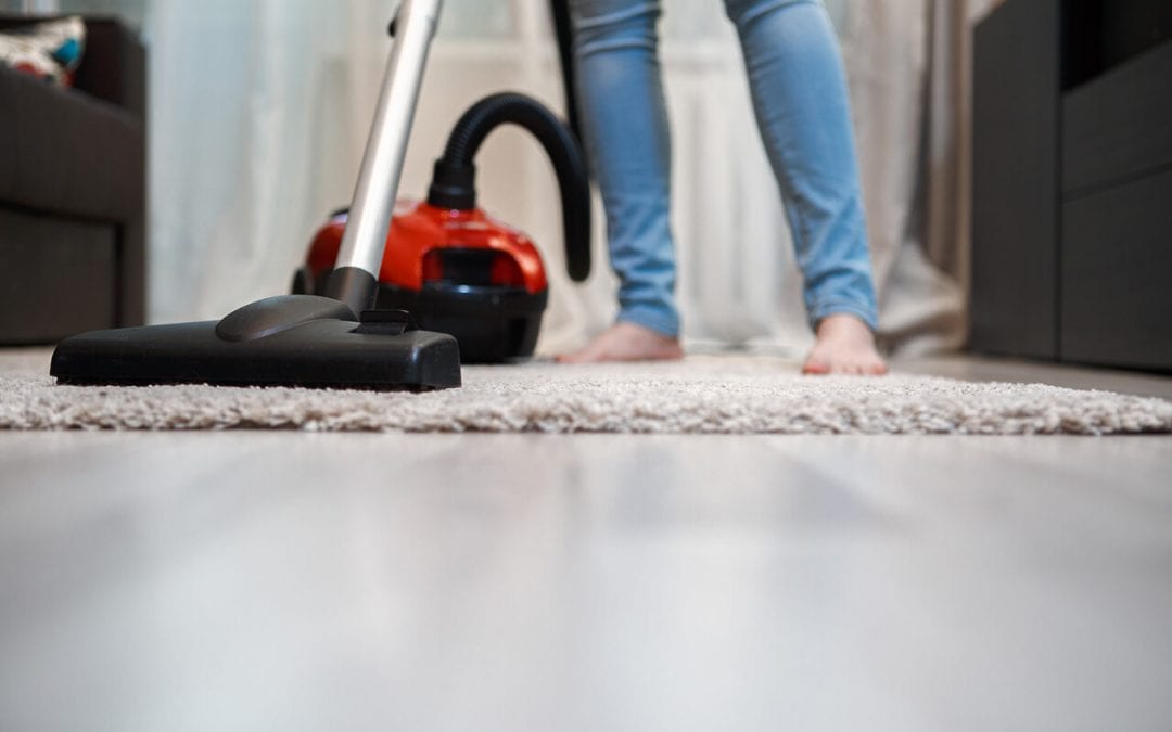 cleaning tips for pet owners include regular vacuuming