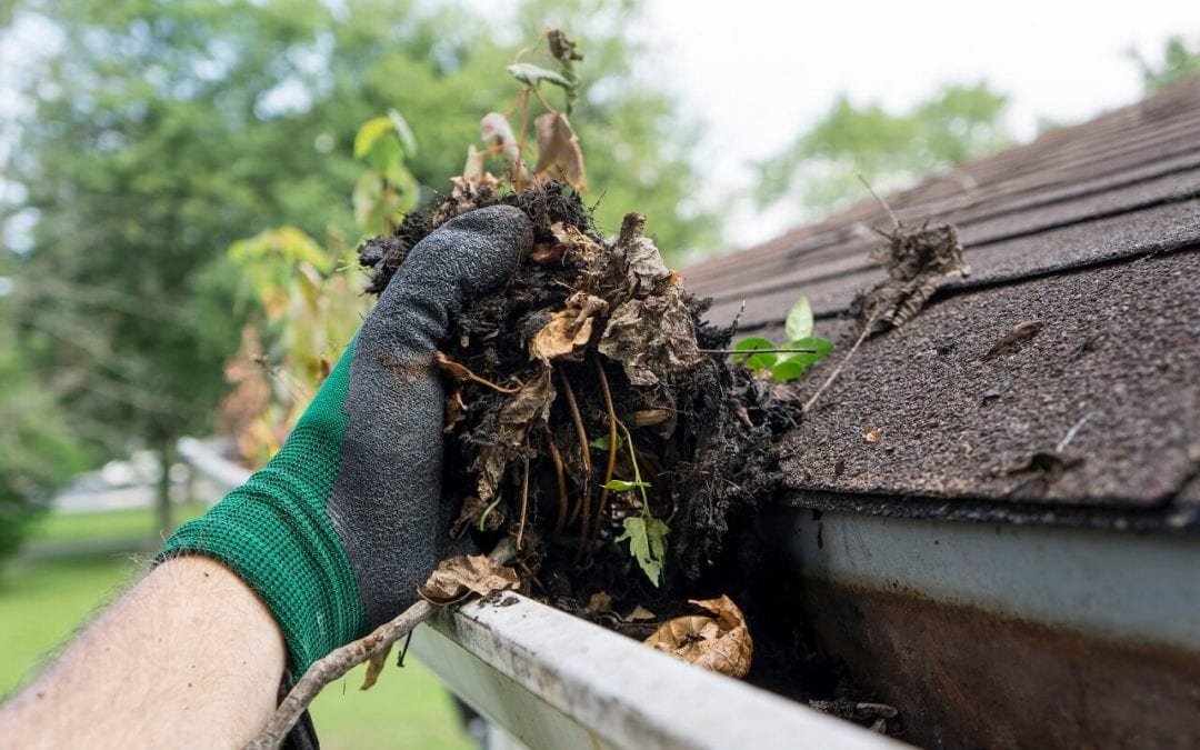 gutter cleaning is one of the important maintenance projects for spring