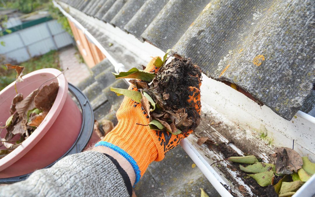 Home Maintenance Schedule